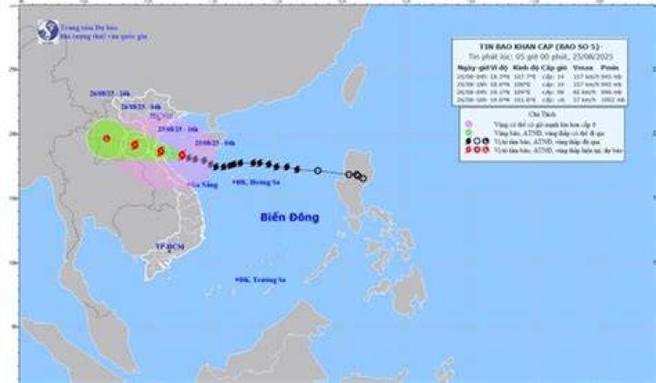 5 loại bao b&igrave; nhựa được ưa chuộng nhất 2021 PHẠM THỊ TỐ LAN