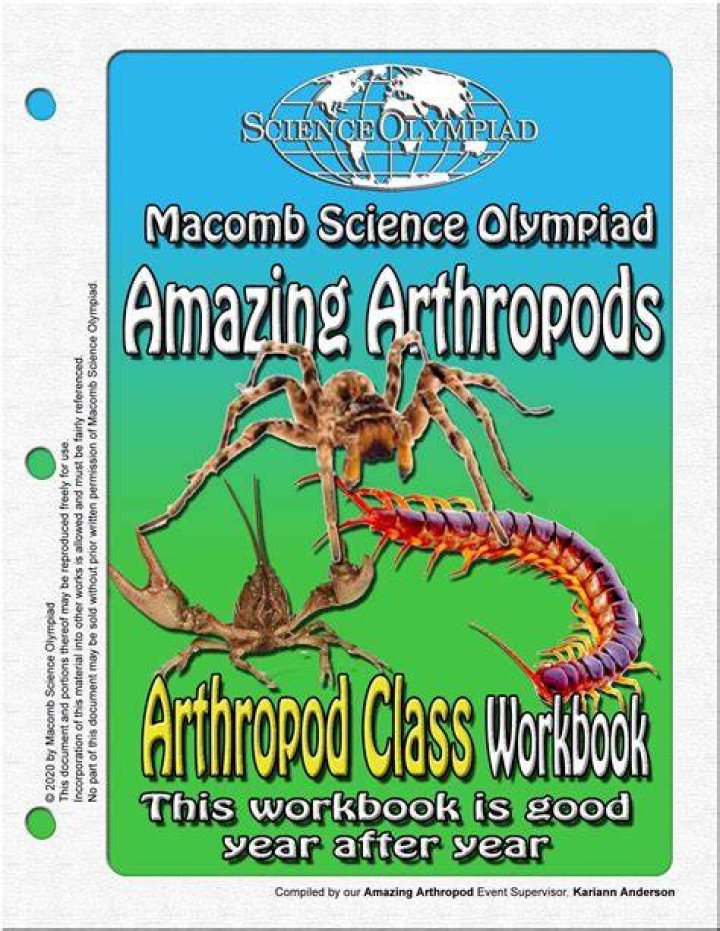 Aico, Arthropods, Arachnids, Amazing Spiderman, Natural History, Insta
