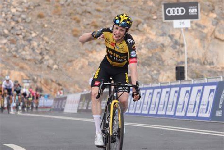 Dumoulin Jonas Vingegaard's Tour de France time trial was the 'best