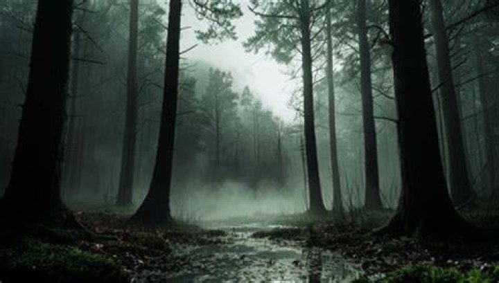 Exploring The Eerie World Of Heidi Wong Horror Movies