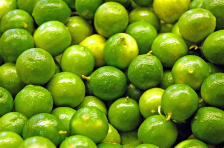 Growing Limes for Perfect Tequila Tasting Black Gold