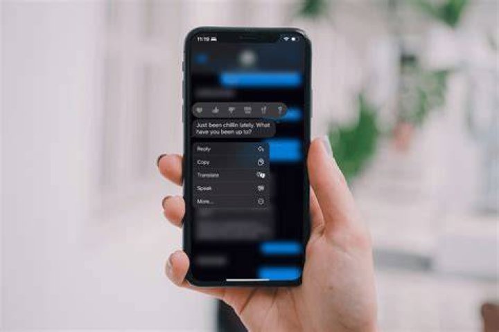 How to Blur Messages on WhatsApp Web