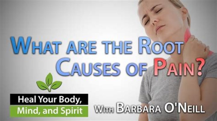Natural Pain Relief Strategies Barbara O'Neill 11/13 YouTube
