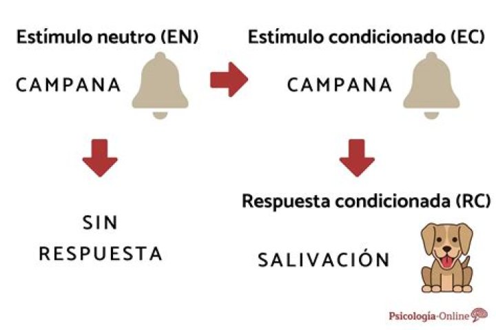 Respuesta a EL SON DEL CAMPESINO Imperiales de la Sierra 🔥🤠🎻 . . . 📸