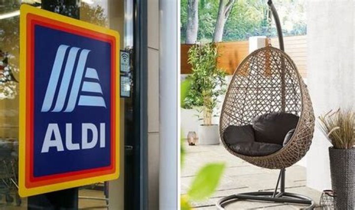 The Aldi egg chair for cats is back with a new look YOU Magazine