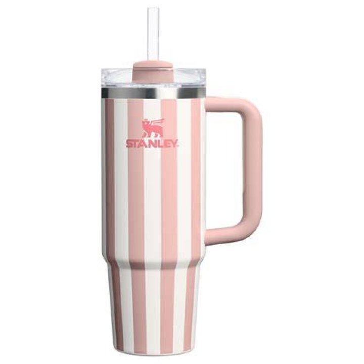 The Tiktokfamous Stanley Tumbler Is Back in Stock in a Ton of Colors
