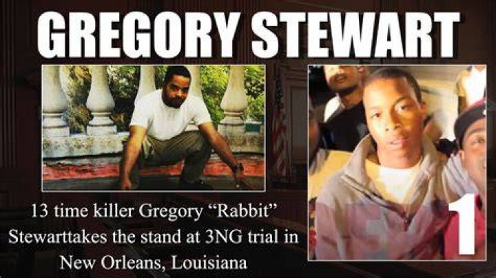 Unveiling The Mystery: Gregory Rabbit Stewart Release Date