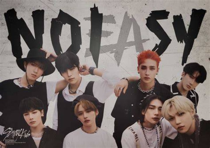 [WTS/LFB] stray kids noeasy applemu pob, Hobbies & Toys, Memorabilia